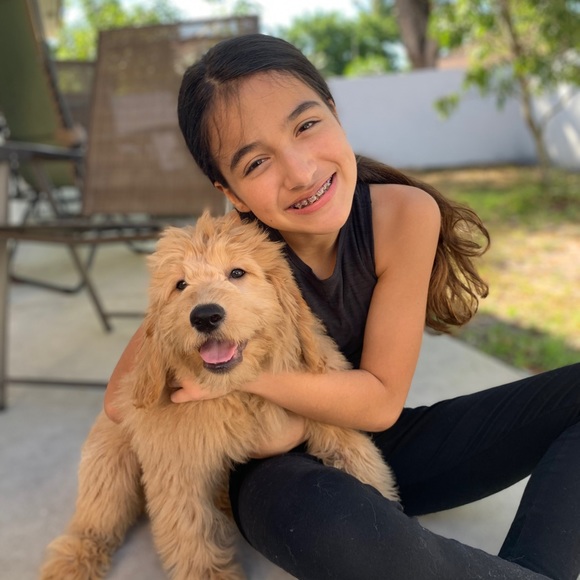 🏅POSH AMBASSADOR LIXURYBAGREHAB 🏅 - Picture 12 of 16